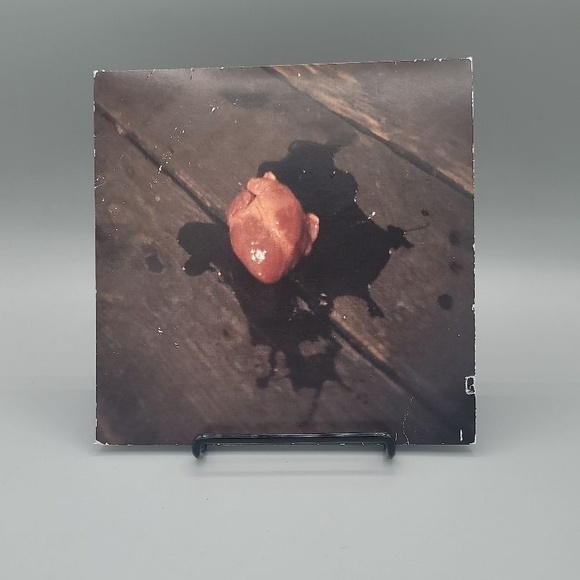 The Stone Foxes 7 Inch Vinyl Everybody Knows Too Hard For The Living Indie Rock - Picture 1 of 3